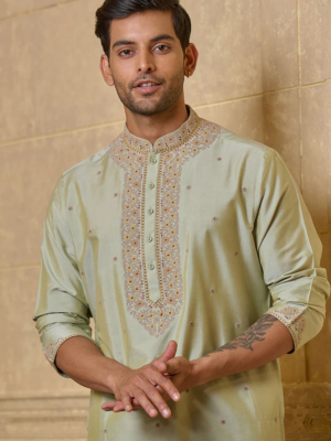 Lt.Olive Kurta Set With Thread Embroidery Details