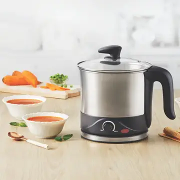 Electric Multi-Function Food Steamer